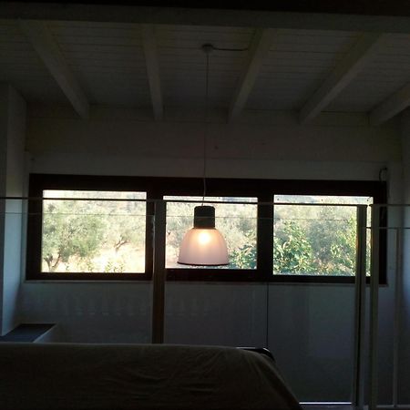 Agriturismo Piccolo Albero 洛雷托·阿普鲁蒂诺 客房 照片
