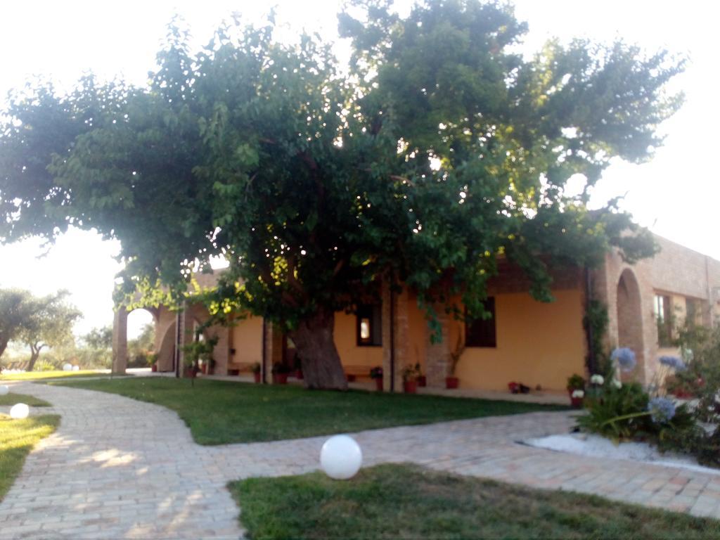 Agriturismo Piccolo Albero 洛雷托·阿普鲁蒂诺 外观 照片