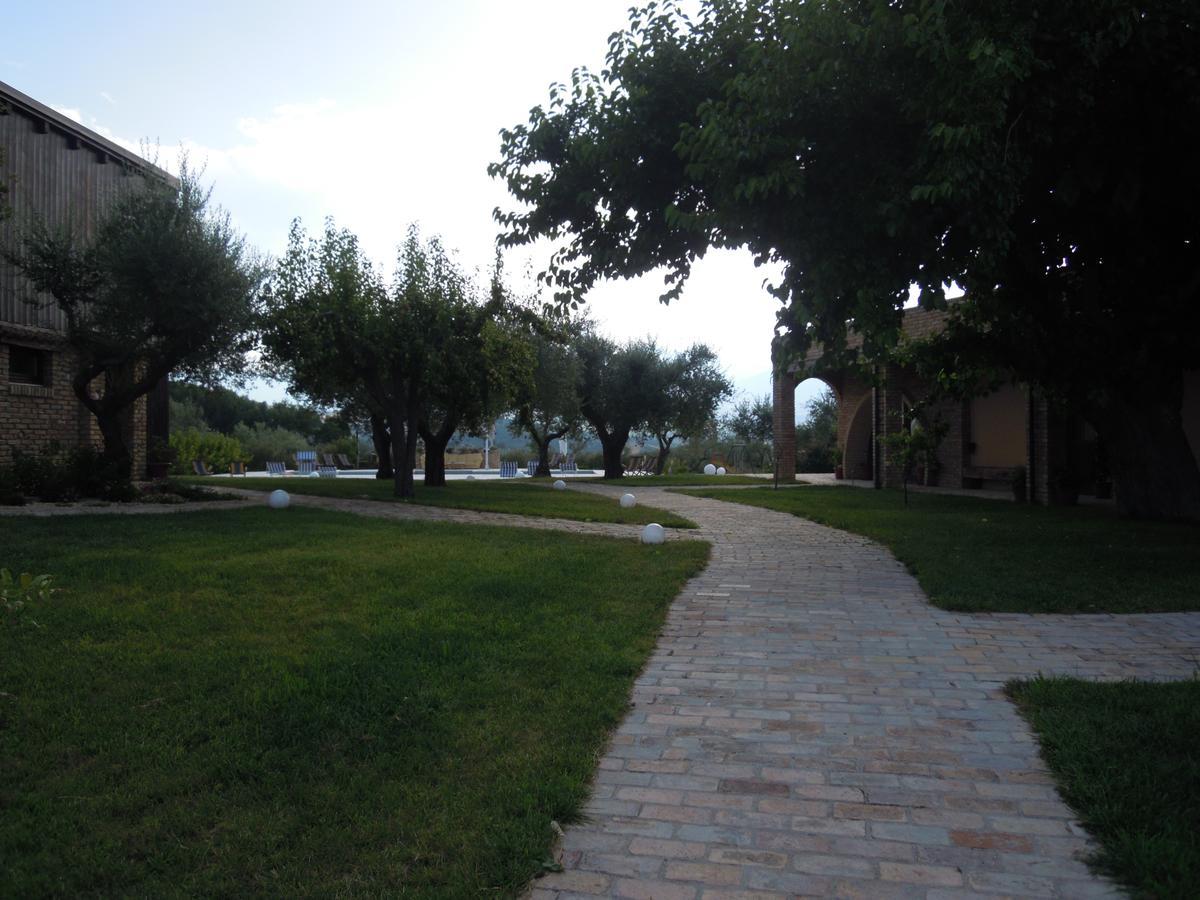 Agriturismo Piccolo Albero 洛雷托·阿普鲁蒂诺 外观 照片