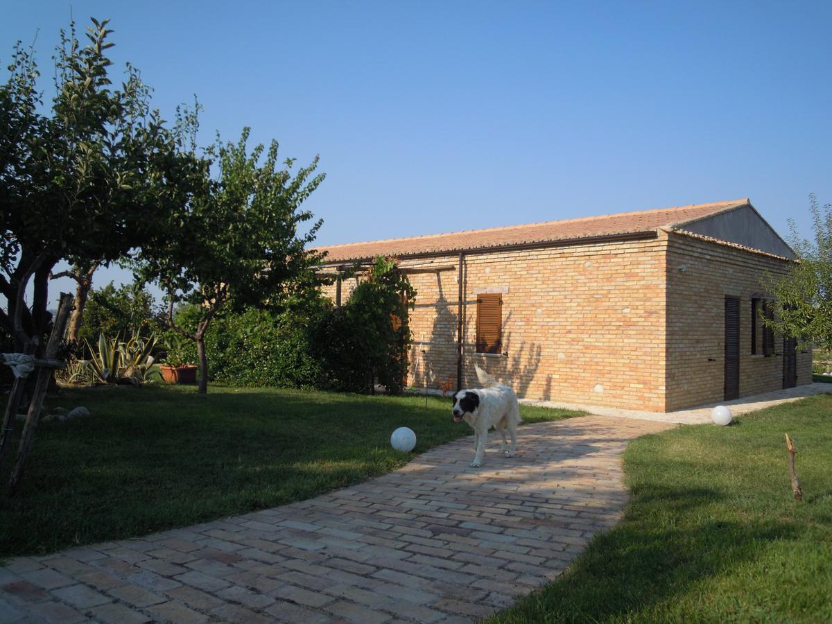 Agriturismo Piccolo Albero 洛雷托·阿普鲁蒂诺 外观 照片