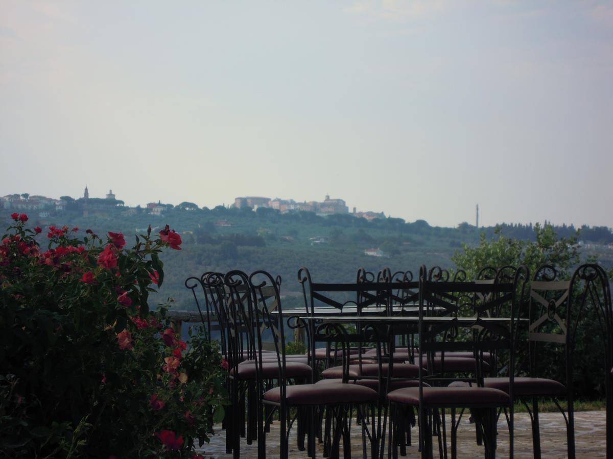 Agriturismo Piccolo Albero 洛雷托·阿普鲁蒂诺 外观 照片